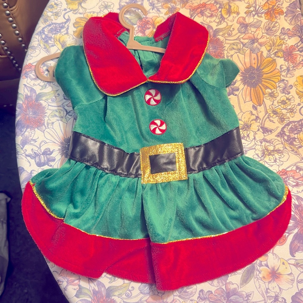 Small elf costume for dog